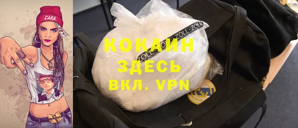 прущие грибы Гатчина