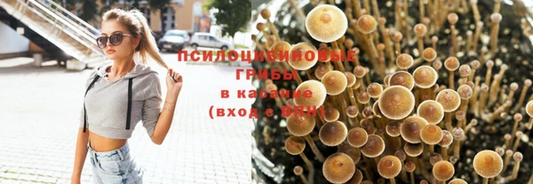 ГАЛЛЮЦИНОГЕННЫЕ ГРИБЫ Покров