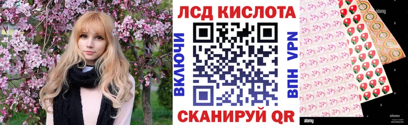 Марки N-bome 1,5мг  OMG   Кодинск  сколько стоит 