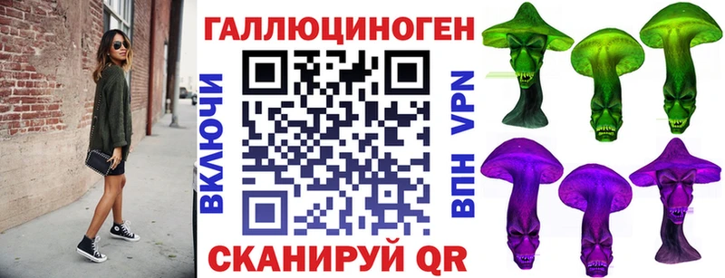 ОМГ ОМГ ТОР  Кодинск  Галлюциногенные грибы Psilocybine cubensis 