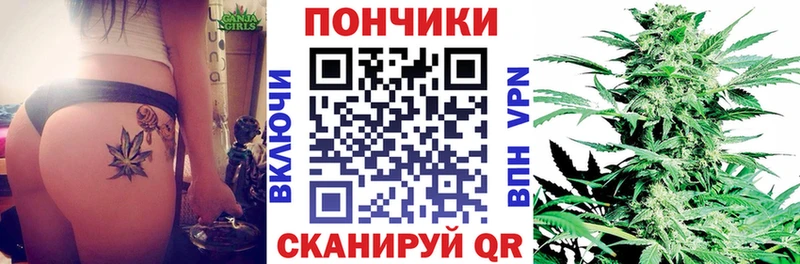 Бошки Шишки планчик  МЕГА   Кодинск 